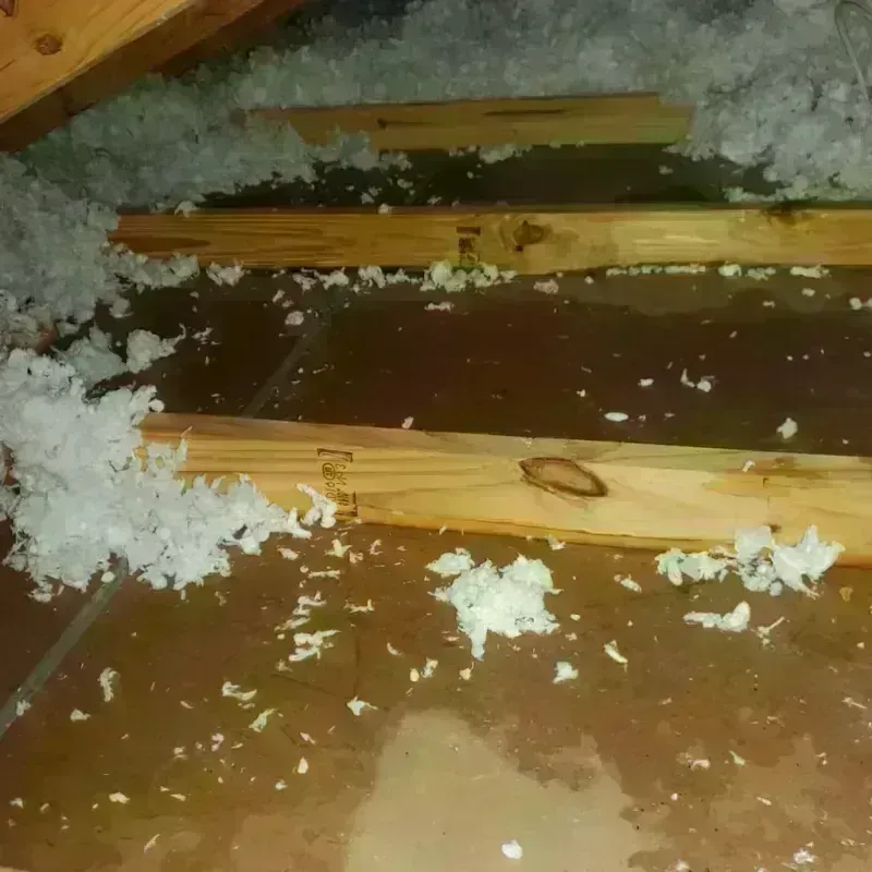 Attic Water Damage in Waterflow, NM