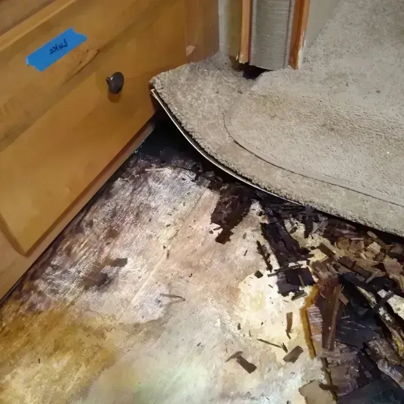 Best Wood Floor Water Damage Service in Waterflow, NM